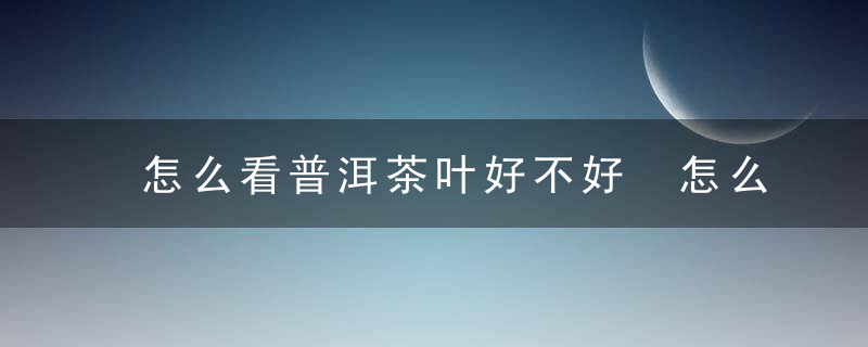 怎么看普洱茶叶好不好 怎么看普洱茶的好坏